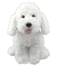"Scruffles" De Poedel (40 cm)