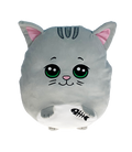 "Sushi" De Kat
